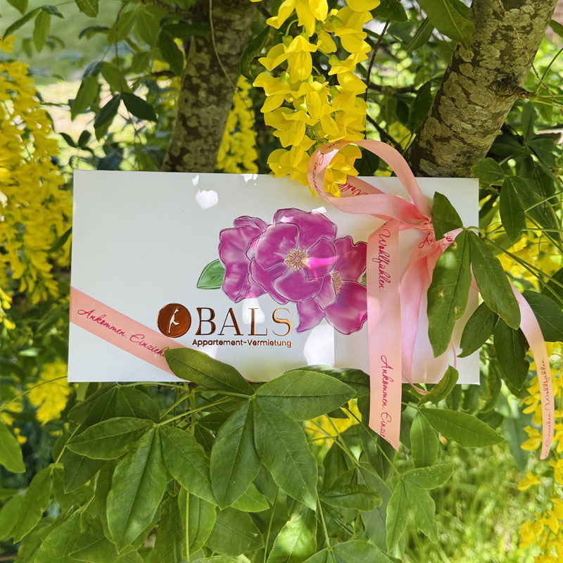 Geschenkgutscheine